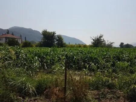 3000 M2 Land Suitable For Investment For Sale In Mugla Ortaca Archers