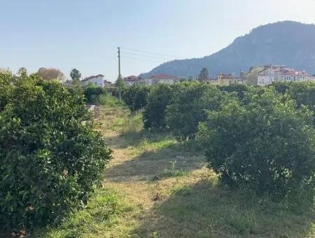 830 M2 Plot For Sale Bargain In Dalyan