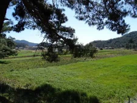 10,000 M2 Of Land Suitable For Investment Is For Sale In Ortaca Gölbasi
