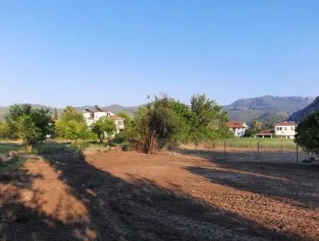 Archers Land For Sale With Title Deeds