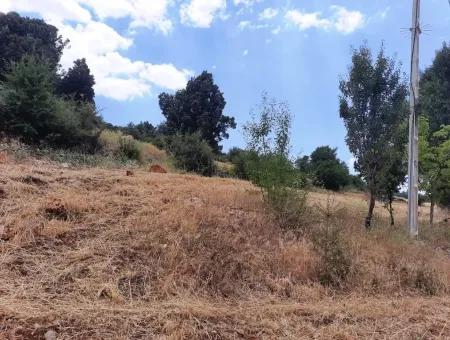 7 350 M2 Detached Land And House For Sale Or In Exchange With Apartment In Çameli Cevizli
