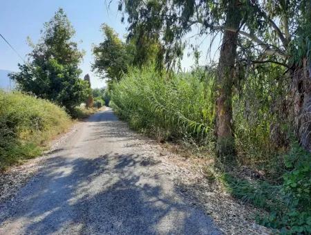 Vineyard Garden Zoning Land For Sale In Gocek Inlice