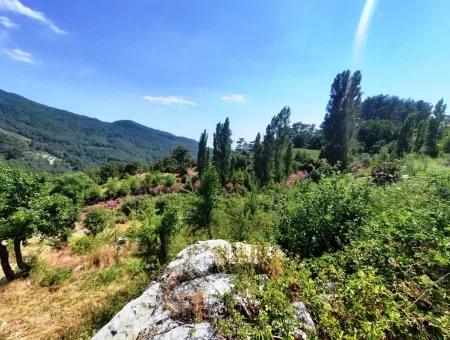 Köycegiz Yayla, Agla Village For Sale Detached Land Suitable For Investment With Lake View