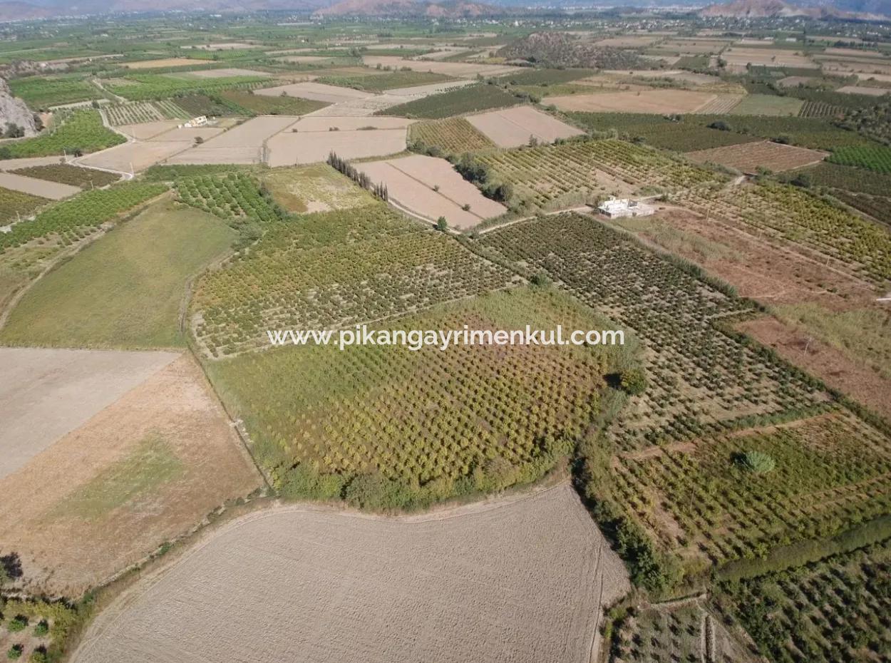 Ortaca Mergenlide Satılık Müstakil Verimli Kelepir Arazi