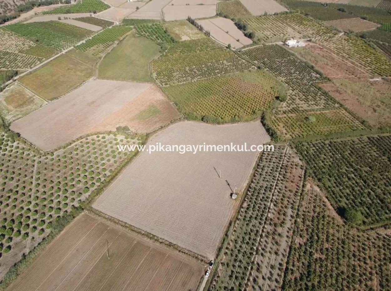 Ortaca Mergenlide Satılık Müstakil Verimli Kelepir Arazi