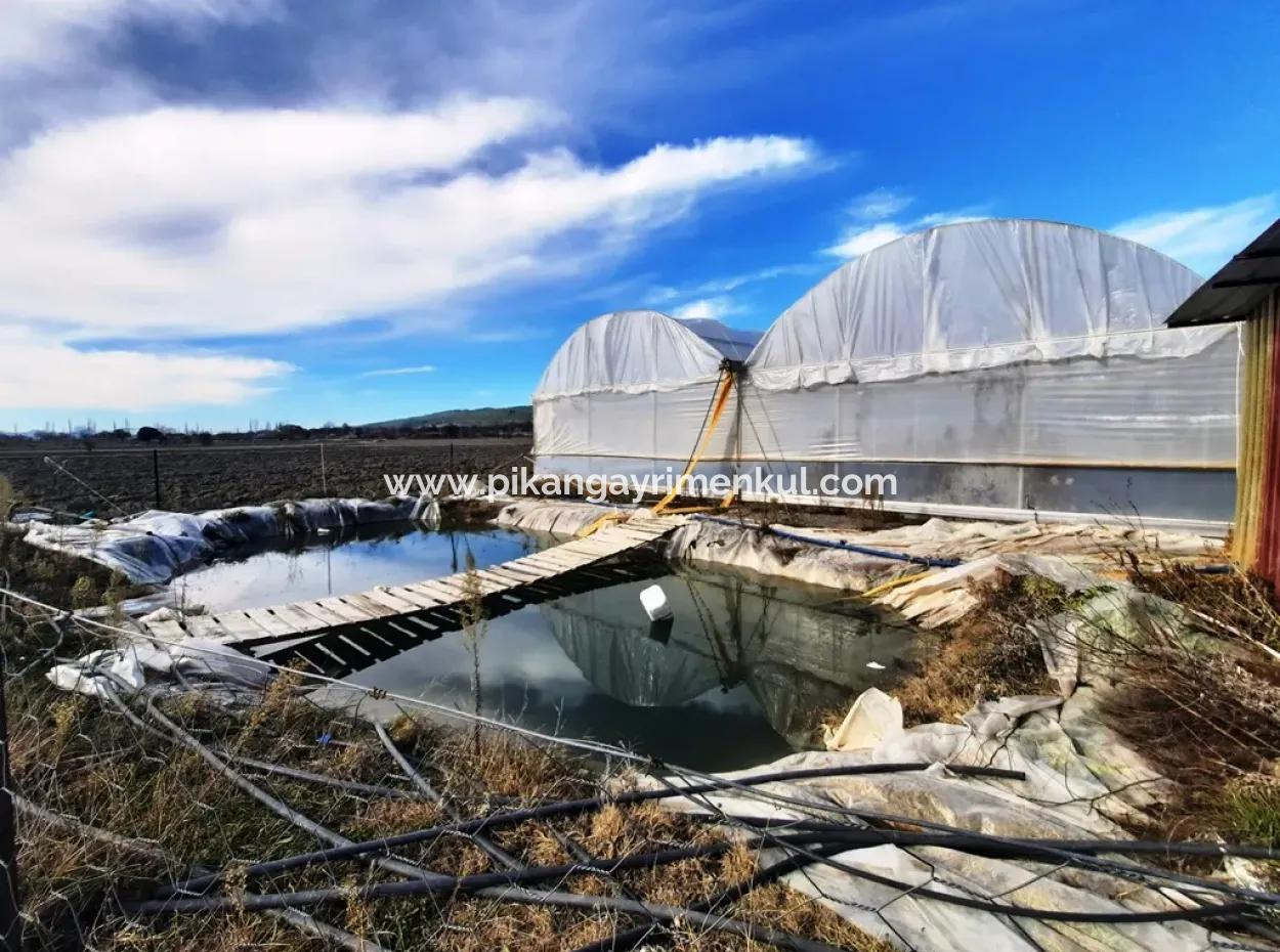 Denizli Çameli Yumrutaşta Satılık Müstakil 4 000 M2 Sera