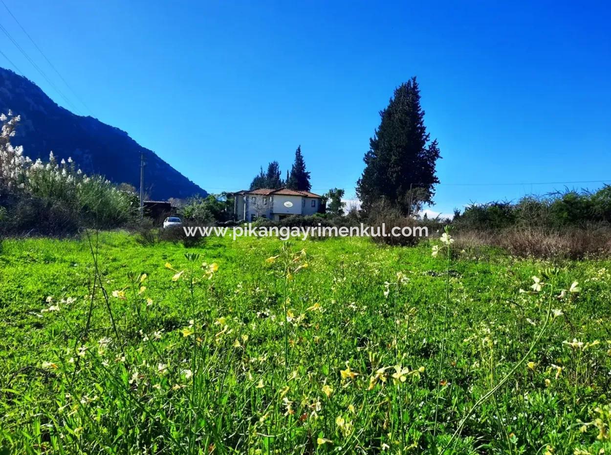 Muğla Ortaca Dalyanda Satılık Yol Cepheli 9300 M2 Yatırıma Uygun Verimli Arazi