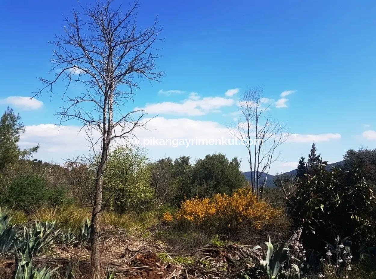 Sarıgerme De Satılık Kelepir Arsa, 2616 M2, 6 Müstakil Parsel