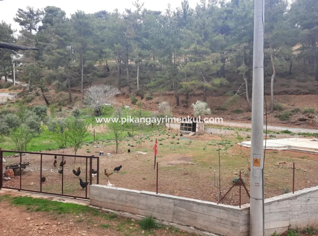 Köyceğiz Ağla Yaylada Fırsat Kelepir 1050 M2 İmarlı Arsa Satılık