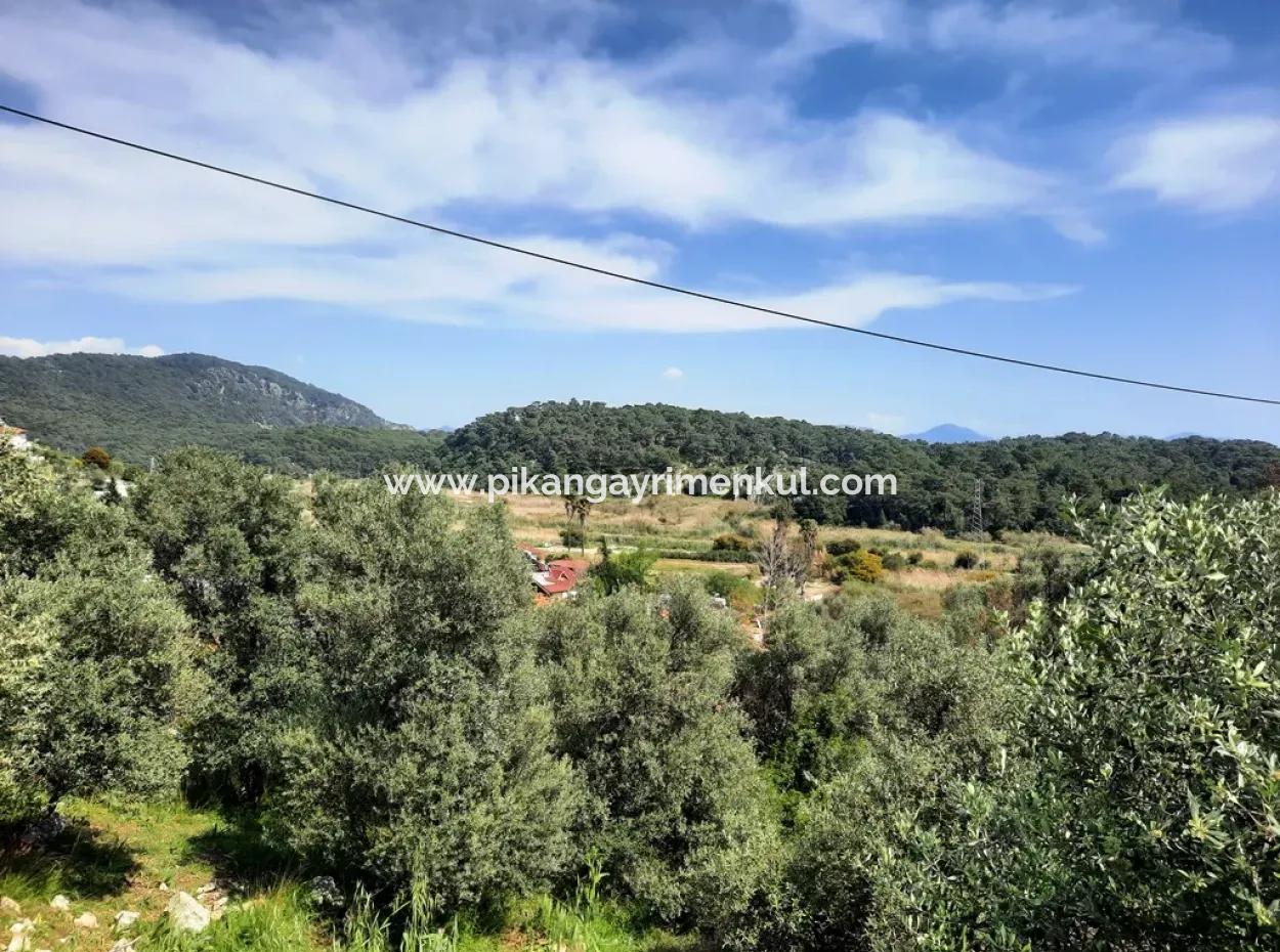 Ortaca Sarıgermede 768 M2 Konut İmarlı 2 Parsel Arsa Satılık