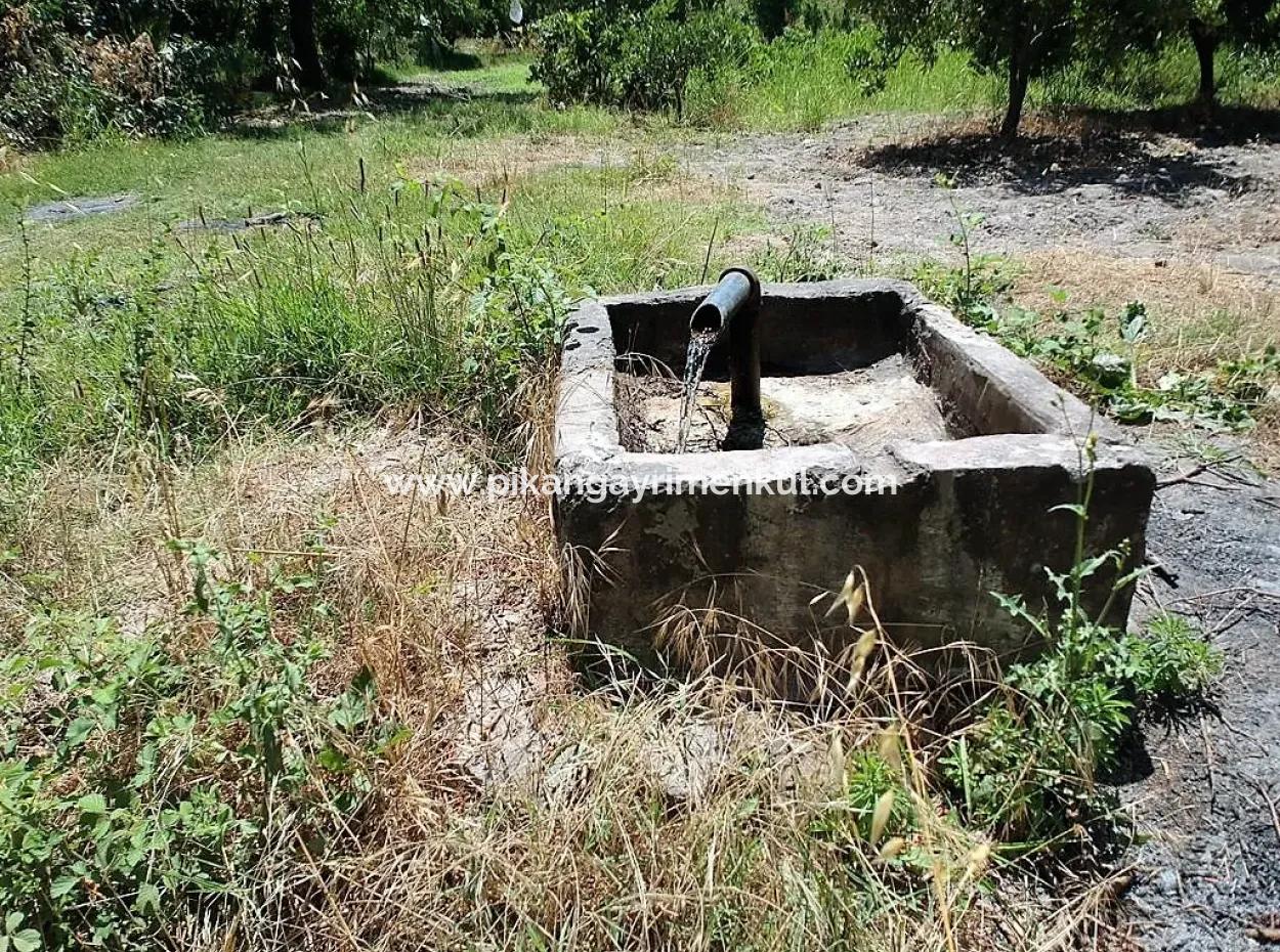 Köyceğiz De Göle Yakın Müstakil Tapulu 2 650 M2 Narenciye Bahçe Satılık Veya Takas Olur