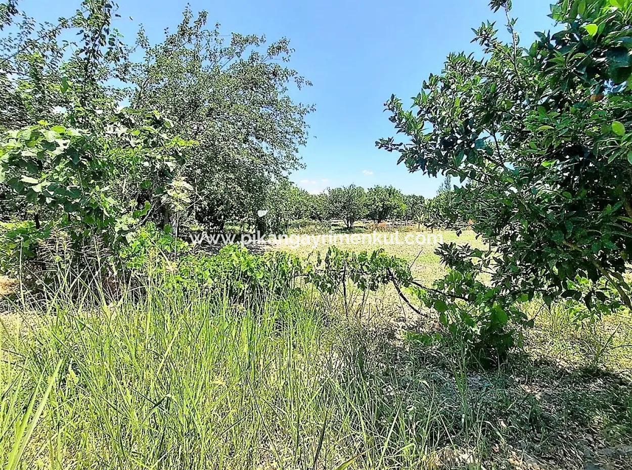 Köyceğiz De Göle Yakın Müstakil Tapulu 2 650 M2 Narenciye Bahçe Satılık Veya Takas Olur