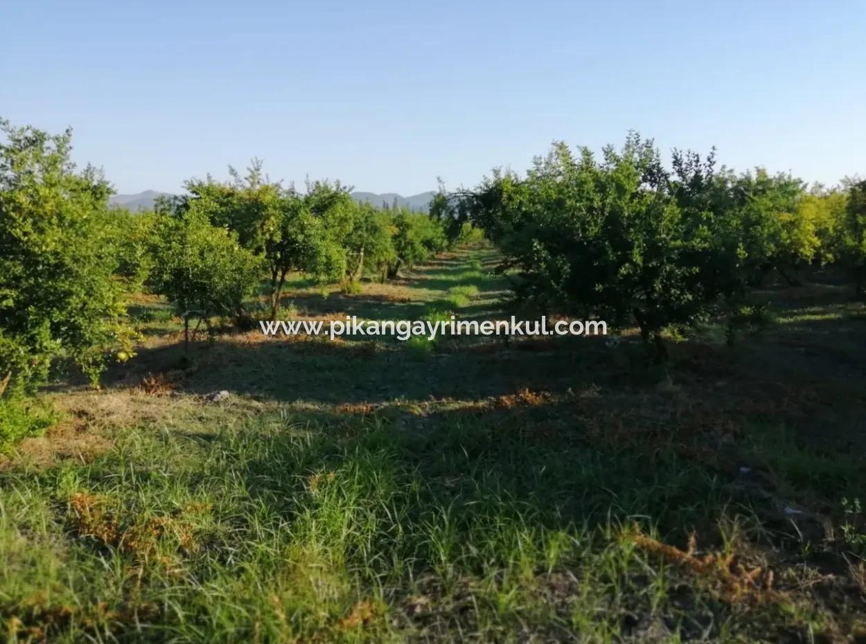 Ortaca Tepearasında Satılık Bahçe