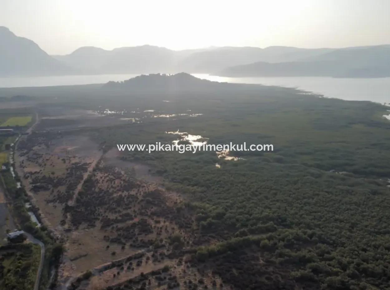 Muğla Ortaca Tepearasında Satılık Nar Bahçesi