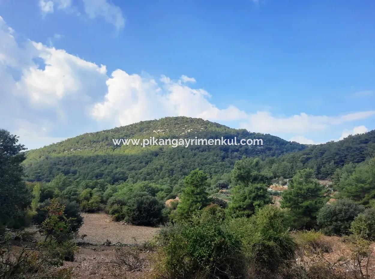 Muğla Dalyan Gökbelde 320 M2 Kelepir Arazi Satılık