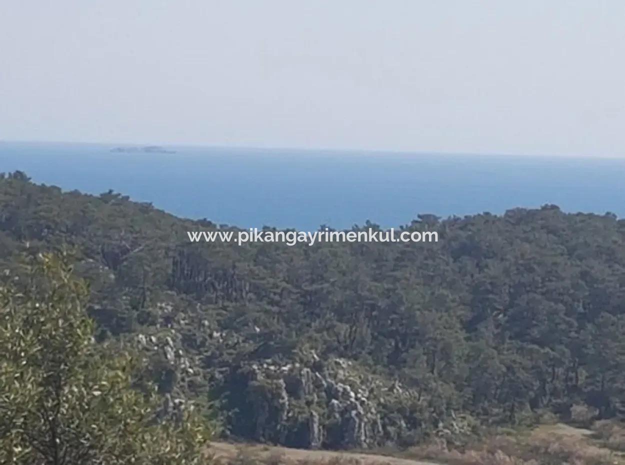 Ortaca Sarıgermede Satılık Kelepir Deniz Manzaralı Arsa