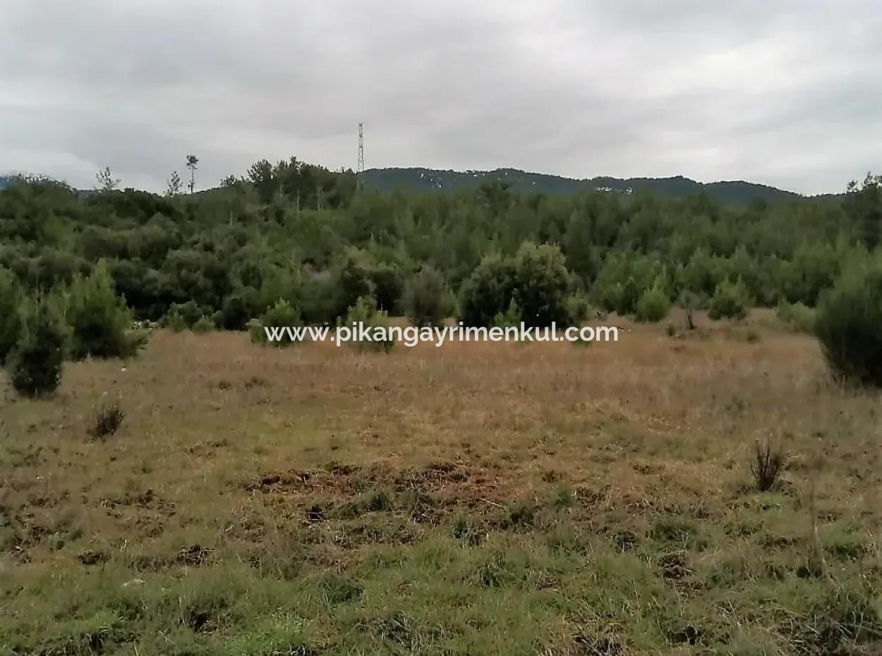 Muğla Dalaman Gürleyikte Satılık 30949 M2 Verimli Tarla