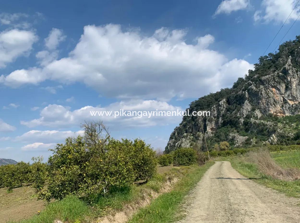 Muğla Dalyan Marmarlıda 1500 M2 Arsa Satılık