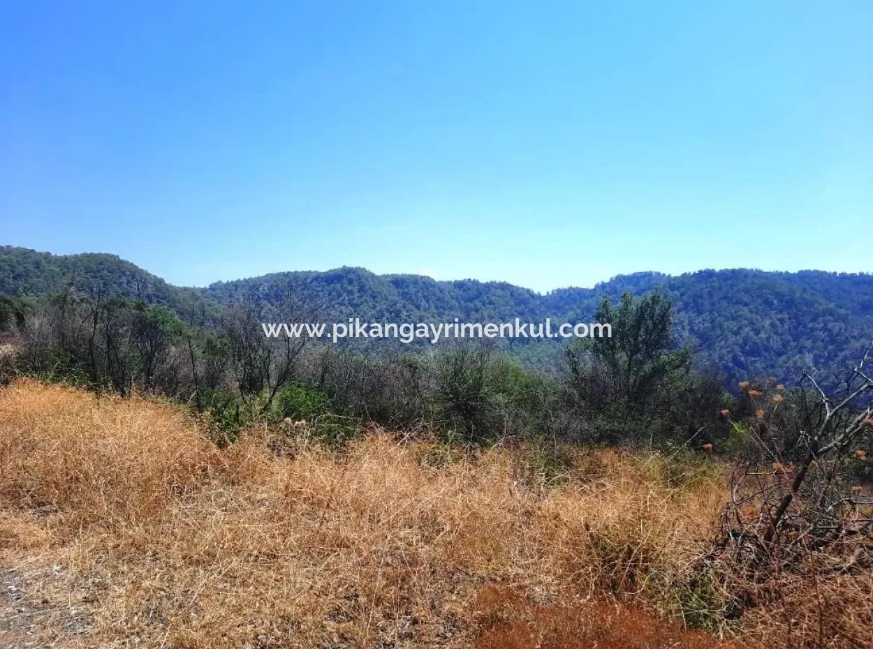 Muğla Dalamanda 42.432M2 Müstakil Tapulu Arazi Satılık