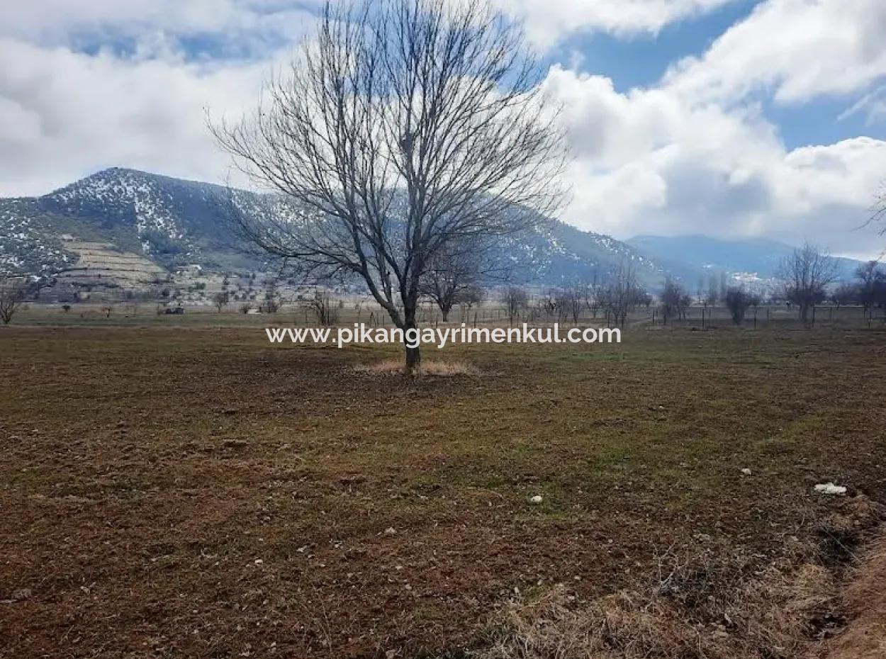 Denizli Çameli Belevi De 358 M2 Müstakil Tapulu Tarla  Hobi Bahçesi Satılık