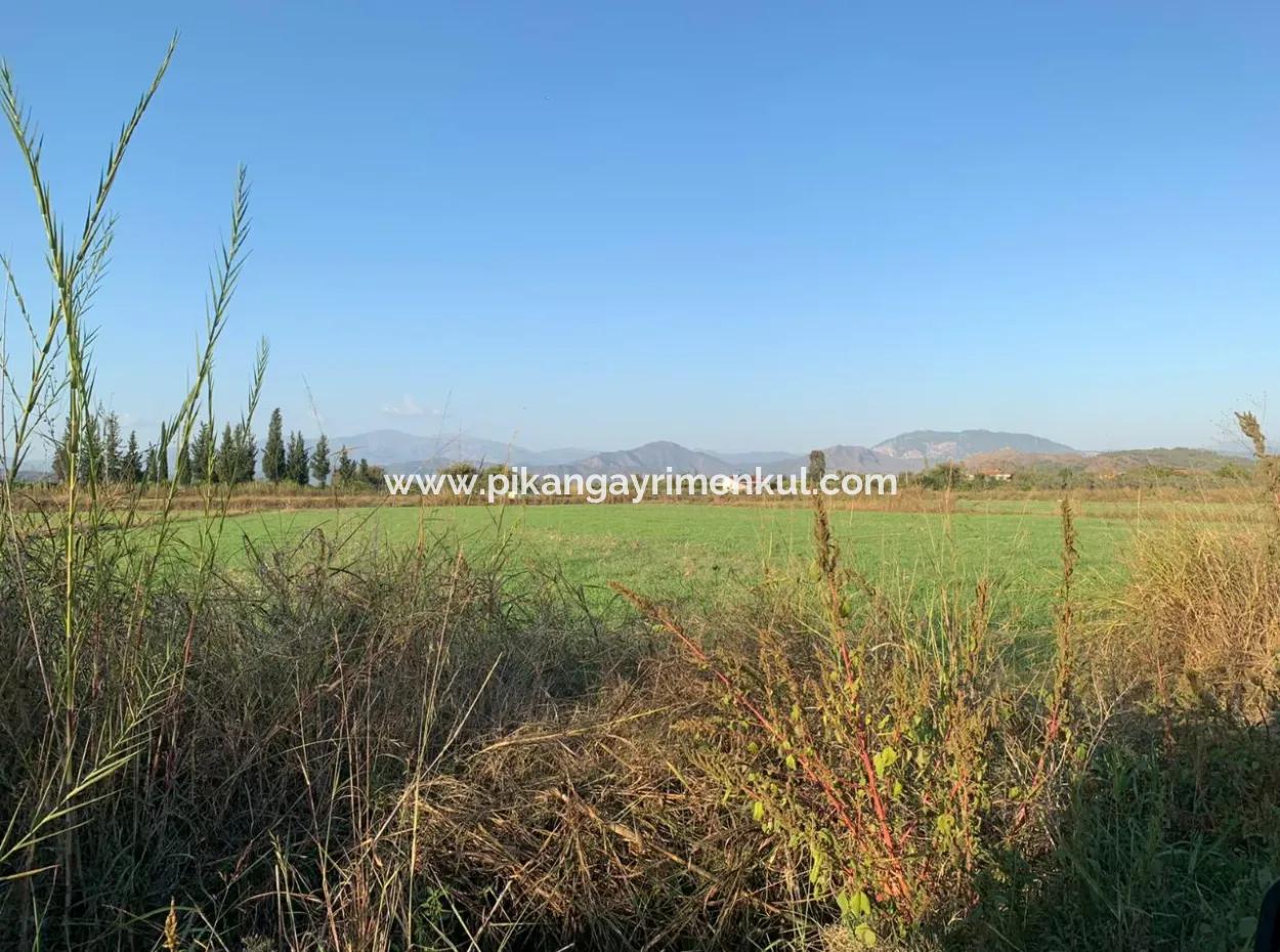 Ortaca Güzelyurt Da Kelepir 28.394 M2 Nin 3000 M2 Si Tarla Satılık