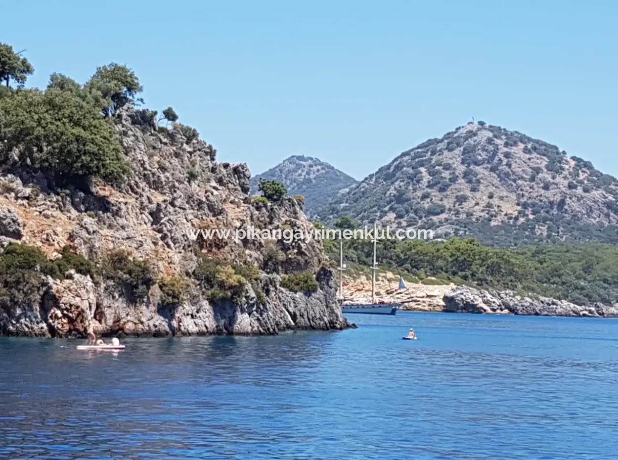 Fethiye Göcek Adasında Deniz Sıfır Konumda 2600 M2 Zeytinlik Satılık