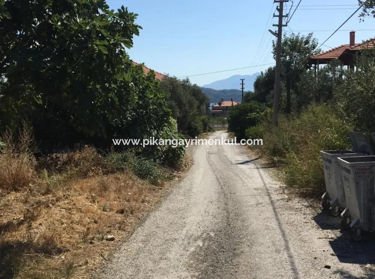 Zeytinalanında Satılık Göl Manzaralı Arazi