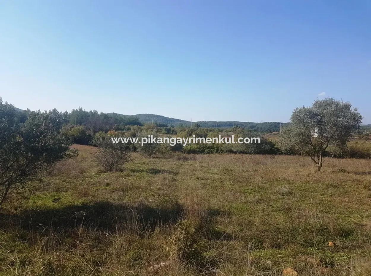 Ula Kızılağaçta Satılık Tarla