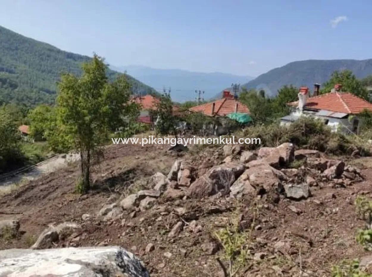 Muğla Köyceğiz Yayla Mah 570 M2 Arsa Satılık