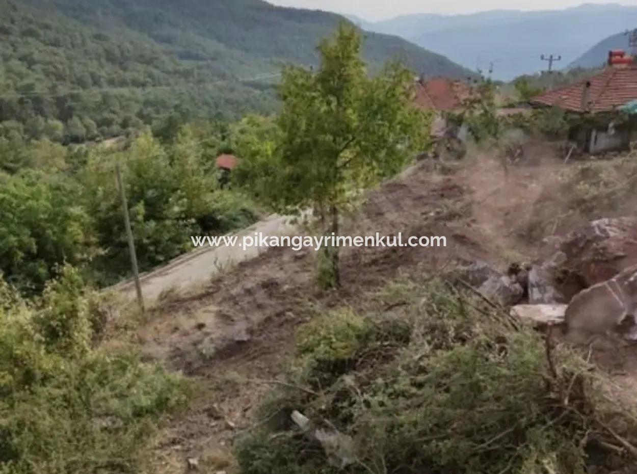 Muğla Köyceğiz Yayla Mah 570 M2 Arsa Satılık