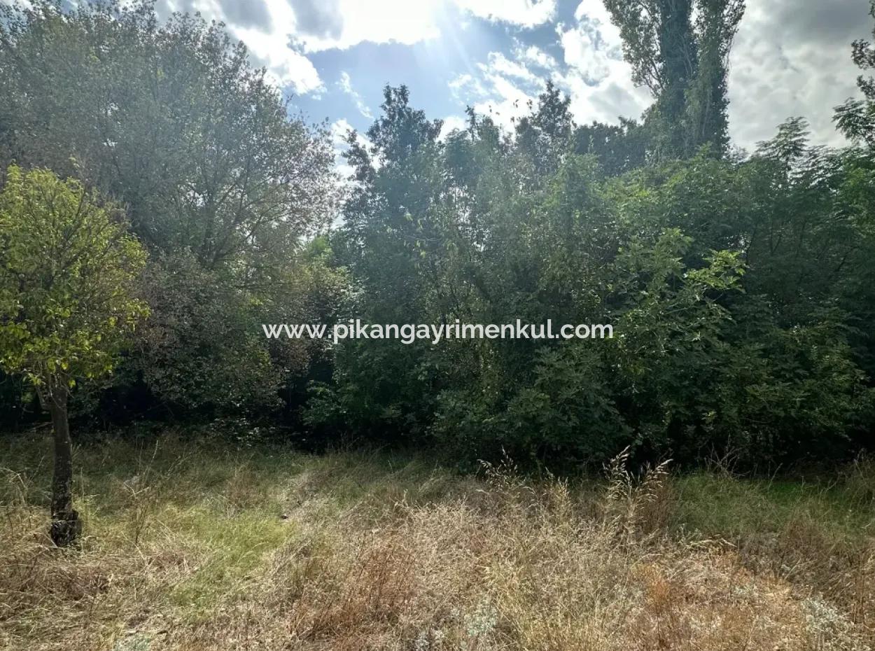 Köyceğiz De 1026 M2 Arsa Satılık