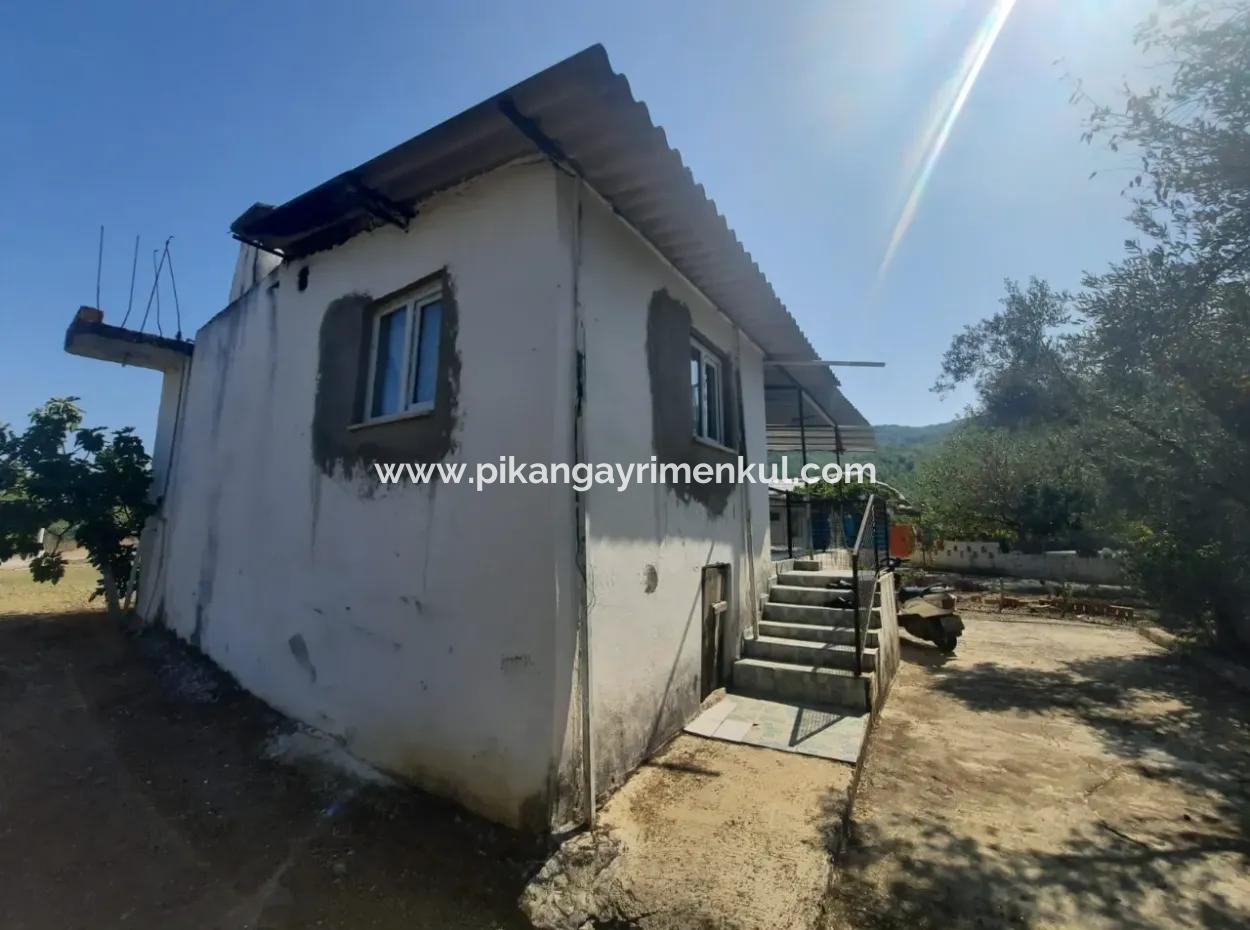 Köyceğiz Kavakarasında 4 000 M2 Müstakil Arazi 3 Köy Evi Satılık