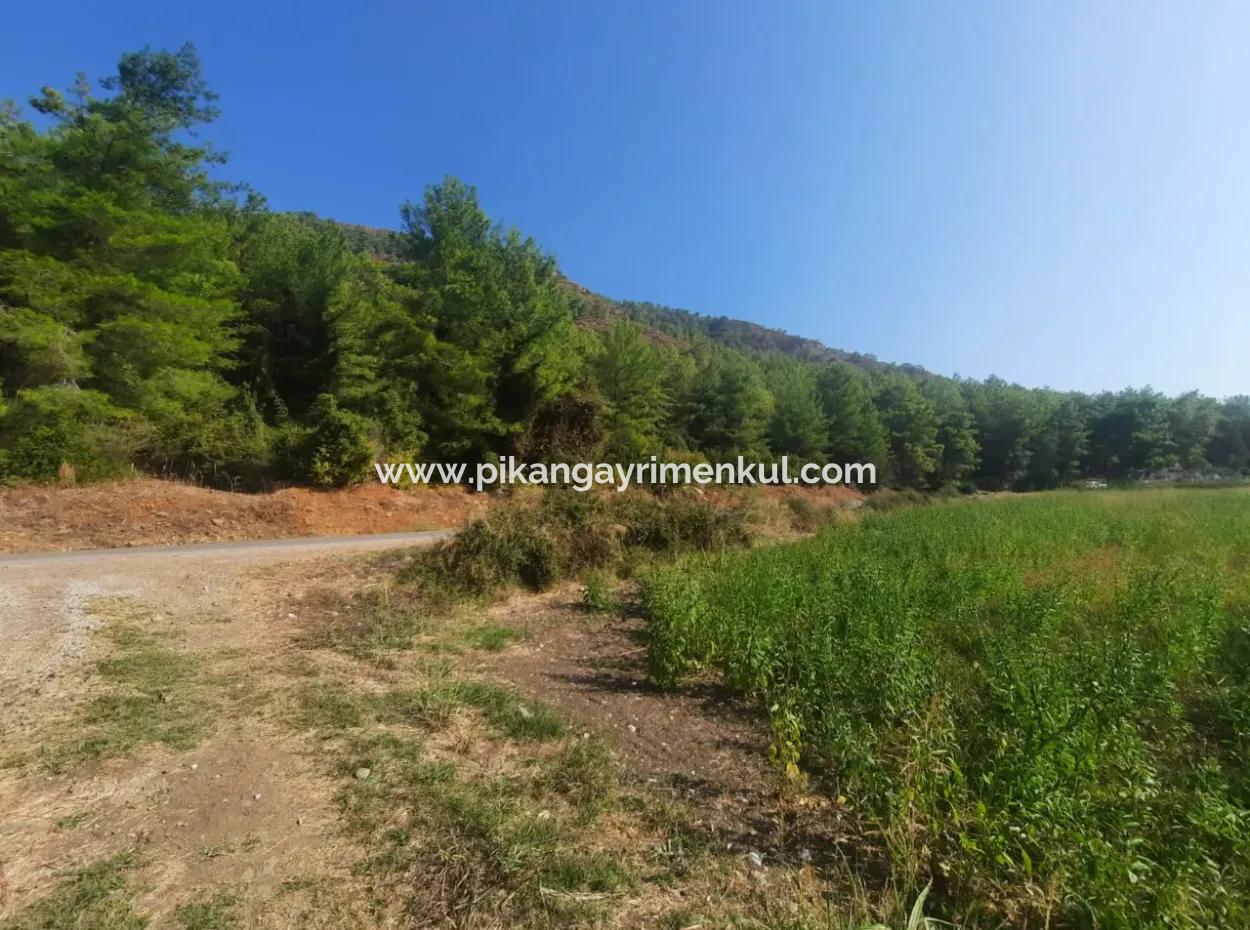 Muğla Ortaca Ekşiliyurtta 8.000 M2 Verimli Arazi Satılık