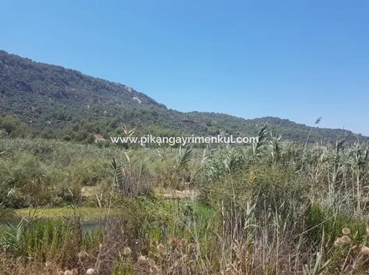 Muğla Ortaca Sarıgerme’de 14.300 M² Yatırıma Uygun Arazi Satılık