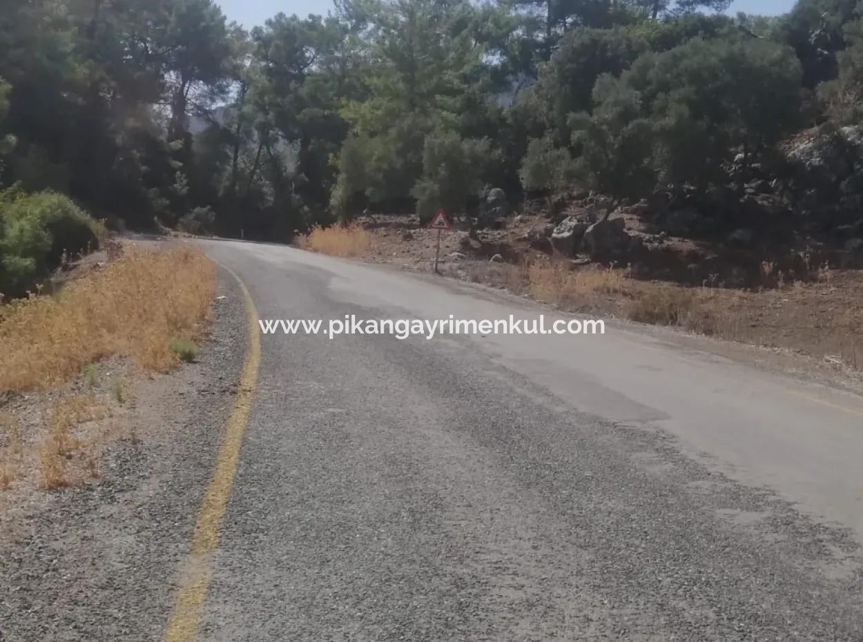 Muğla Köyceğiz Çandır Mah. 5000 M2 2B Tarla Satılık