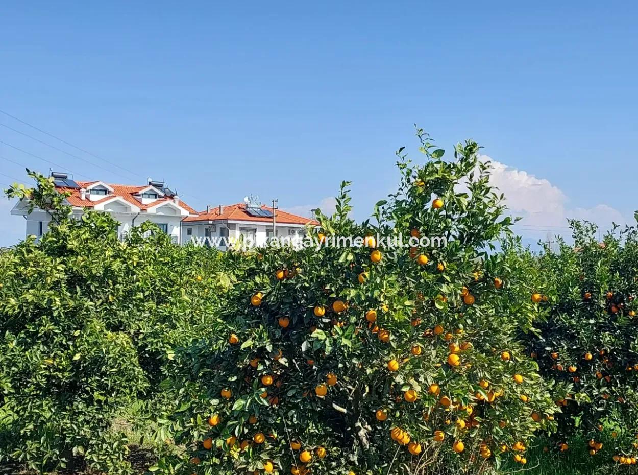 Muğla Dalyan Da Satılık 722 M2 İmarlı Müstakil Arsa