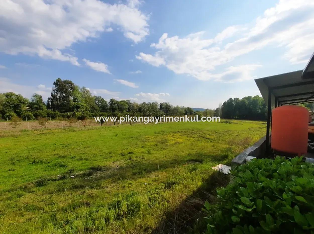 Köyceğiz Yangıda Ana Yola Sıfır Satılık Yatırıma Uygun Kelepir Arazi