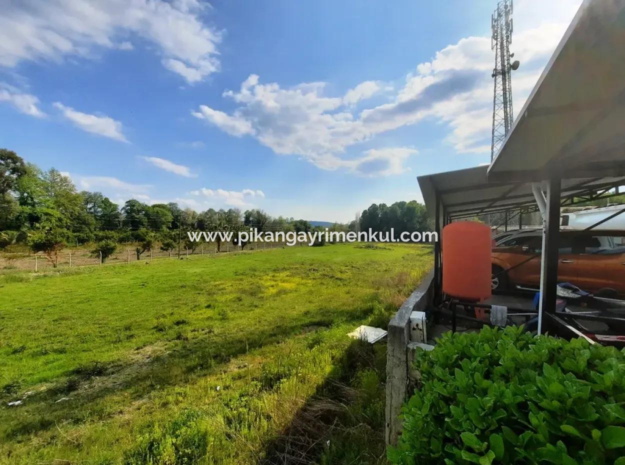 Köyceğiz Yangıda Ana Yola Sıfır Satılık Yatırıma Uygun Kelepir Arazi