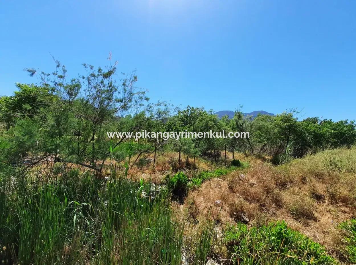 Muğla Ortaca Dalyanda Kanala Sıfır 6 500 M2 Hisseli Tapulu Arazi Satılık