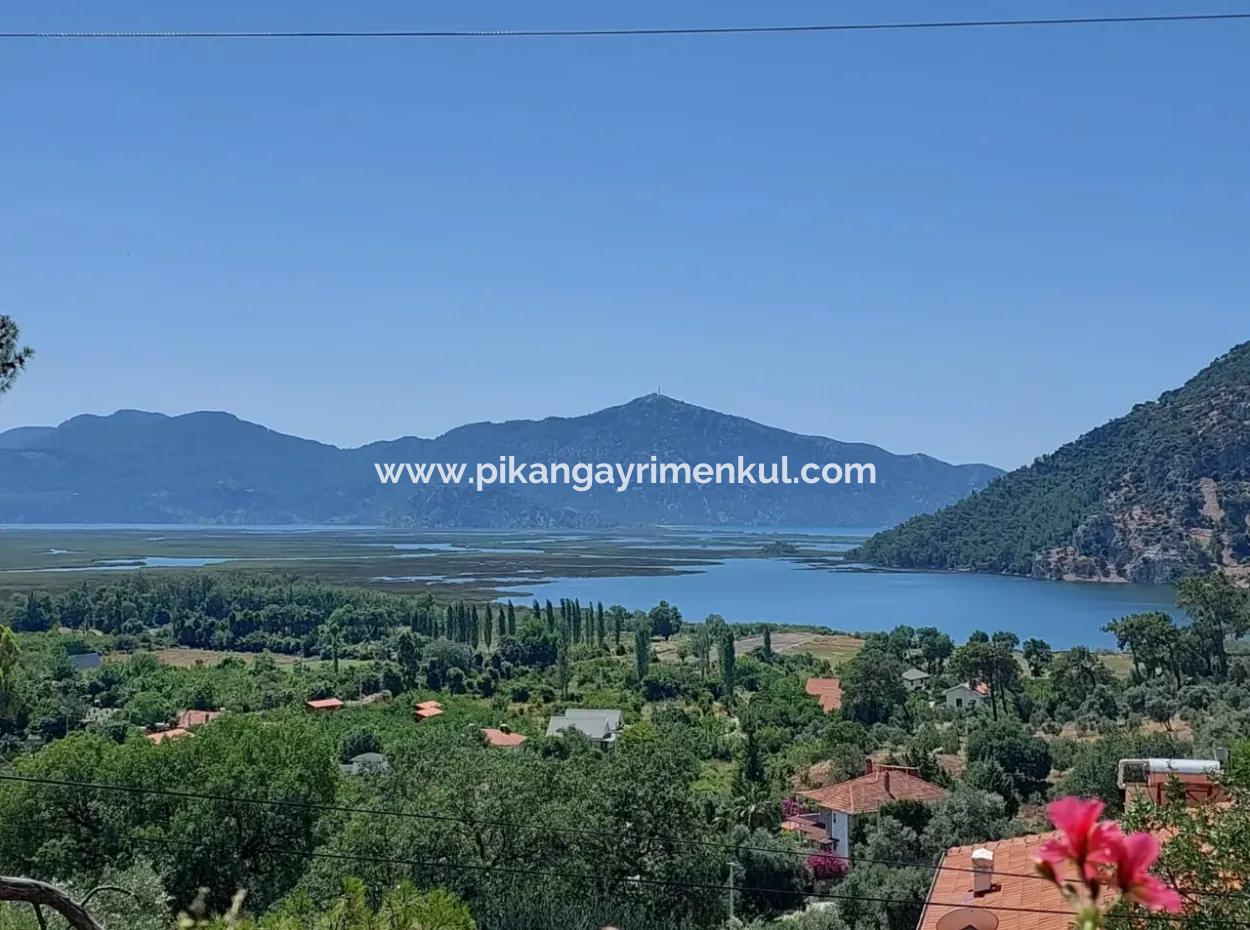 Köyceğiz Çandırda  Müstakil Tapulu 33.800 M2 Tarla Satılık