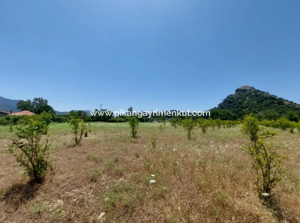 Köyceğiz Çandırda  Müstakil Tapulu 33.800 M2 Tarla Satılık