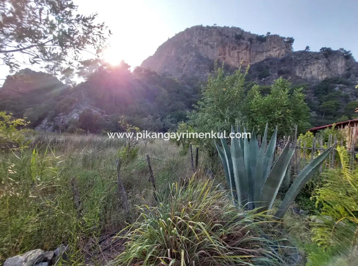 Köyceğiz Çandırda Dalyan Kanalına Yakın 15 000 M2 Müstakil Arazide Tek Katlı Ev Satılık