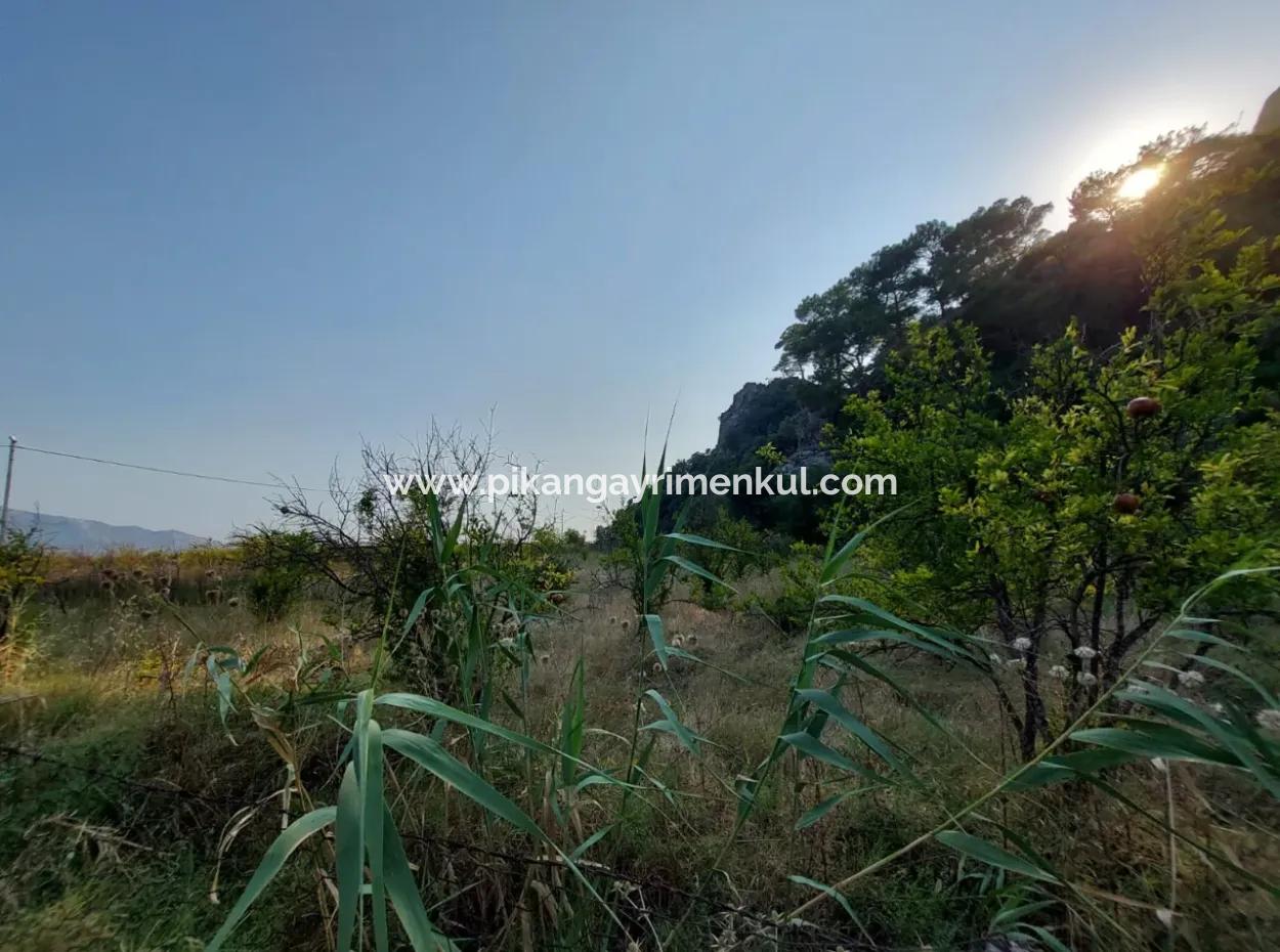 Köyceğiz Çandırda Dalyan Kanalına Yakın 15 000 M2 Müstakil Arazide Tek Katlı Ev Satılık