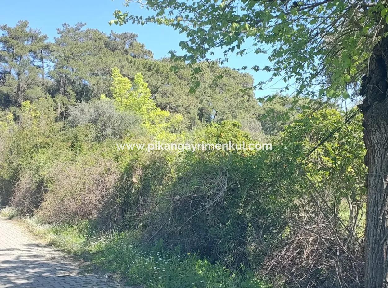 Muğla Köyceğiz Çandır’da Göl Manzaralı Köy Evi Ve Zeytinlik Arazi Satılık