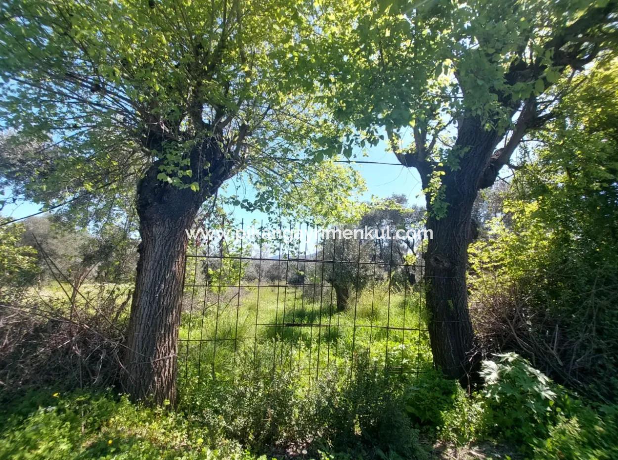 Muğla Köyceğiz Çandır’da Göl Manzaralı Köy Evi Ve Zeytinlik Arazi Satılık