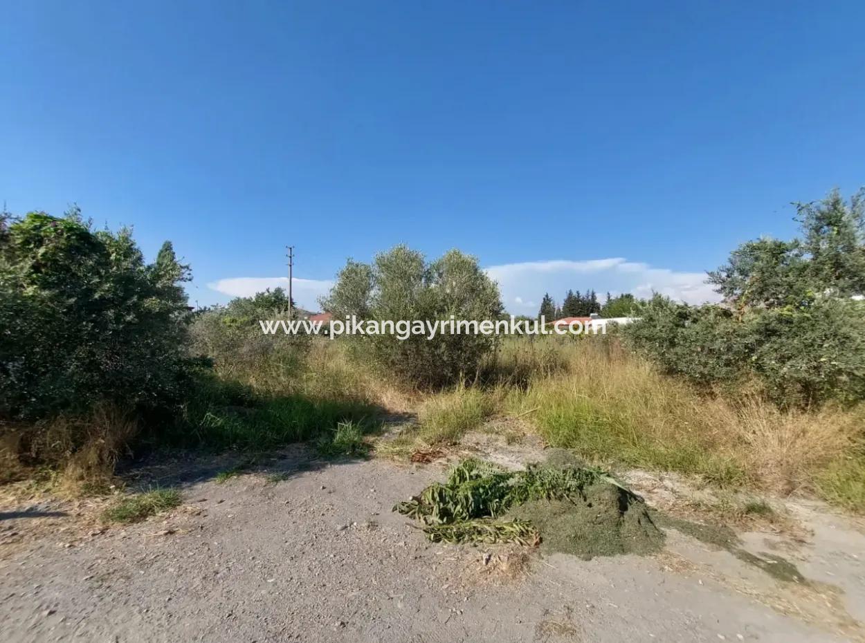 Muğla, Dalyan Da 817 M2  İmarlı Arsa Satılık