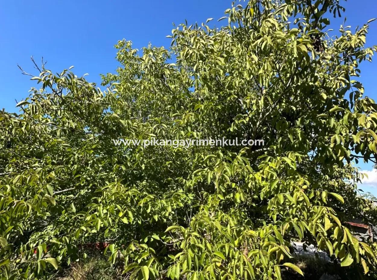 Ortaca Dalaklıda 1129 M2 İmarlı Arsa Satılık