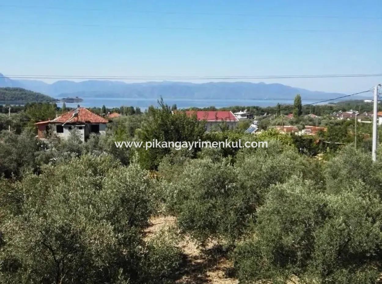 Köyceğiz Zeytinalanı Nda Satılık Müstakil Göl Manzaralı Ev