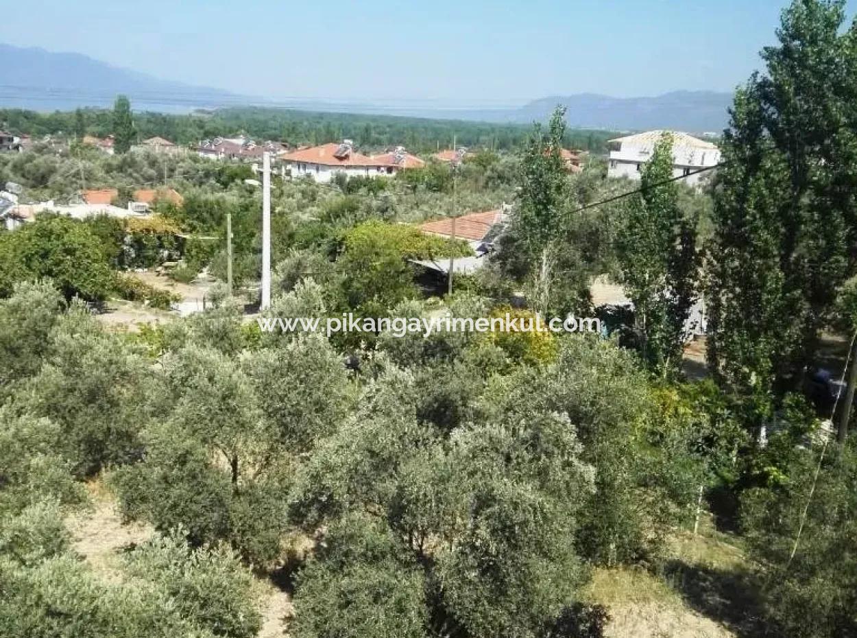 Köyceğiz Zeytinalanı Nda Satılık Müstakil Göl Manzaralı Ev