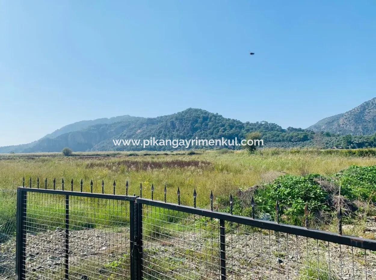 Ortaca Güzelyurtda Kooperatife Uygun Tarlalar Satılık